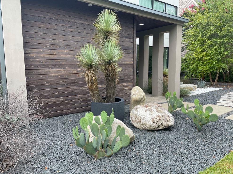 Turtle Creek Modern Landscape