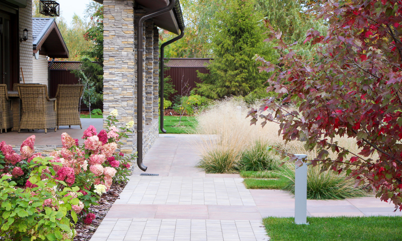 Петровское, 2018-2020 гг.