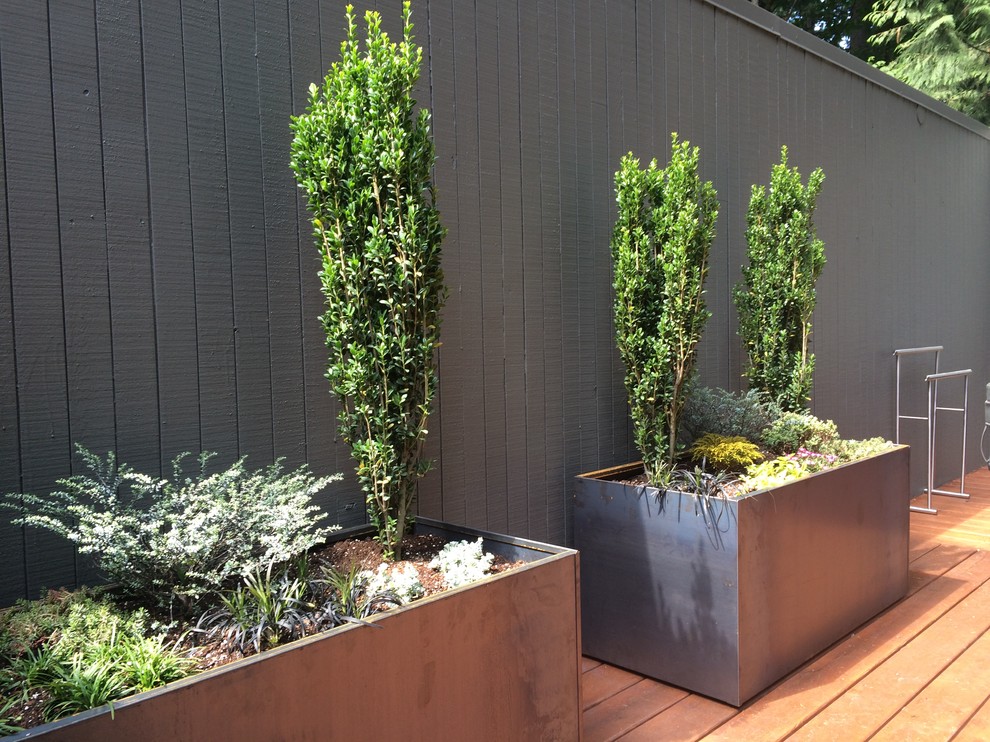 Inspiration for a small modern backyard garden in Portland with a container garden.
