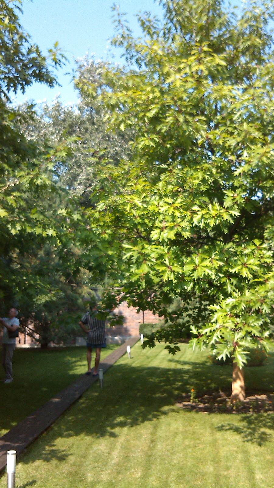 Строгость мужского ландшафта