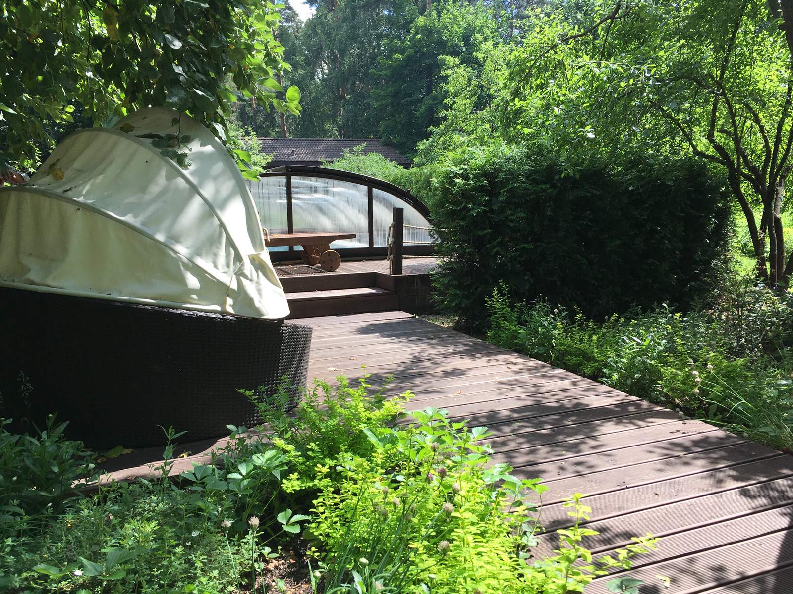 Белкин сад. Лето 2019