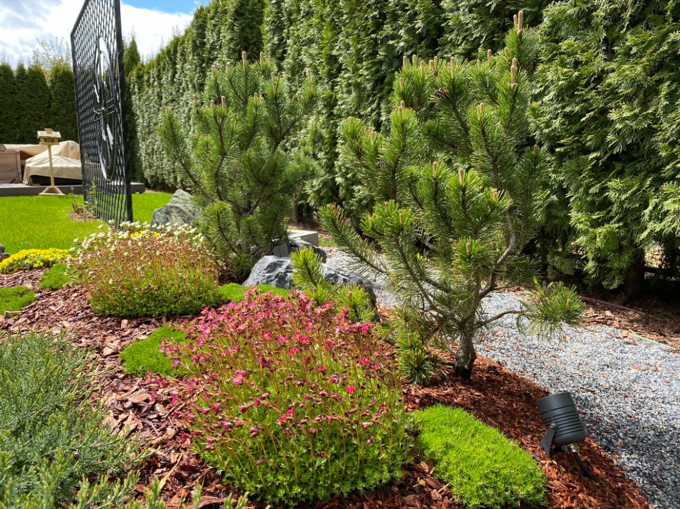 Элемент времени