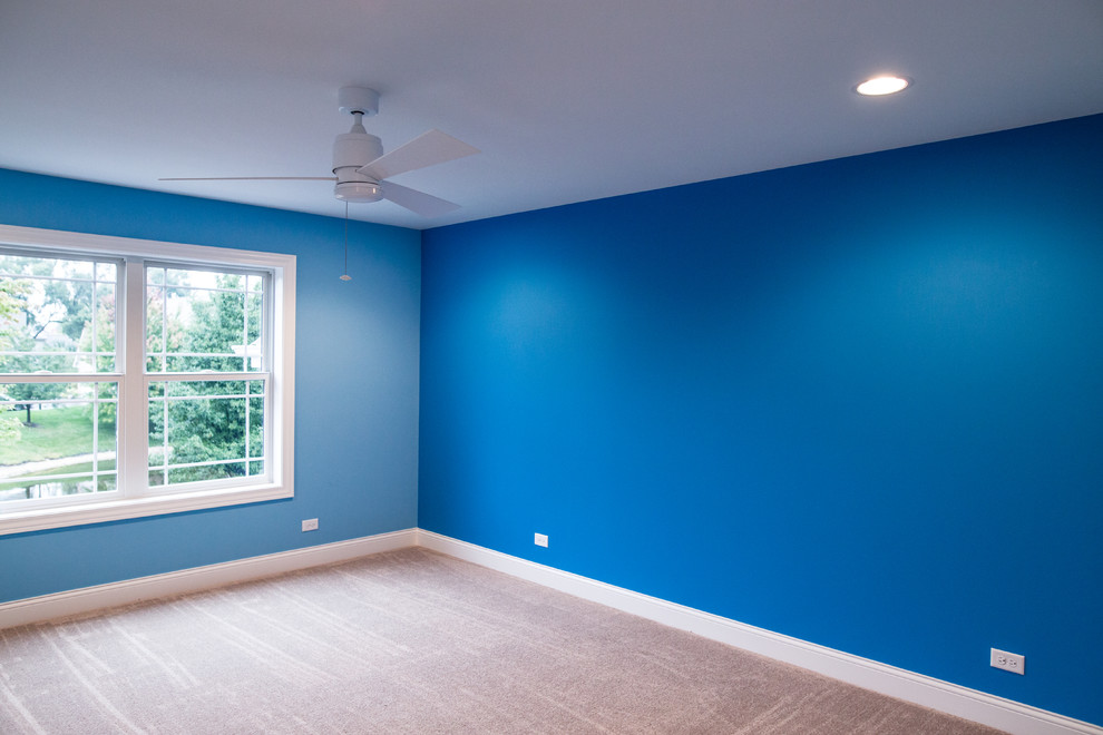 Example of a mid-sized transitional master carpeted home design design in Chicago with brown walls and no fireplace