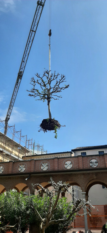 Riqualificazione giardino interno ad un istituto ecclesiastico