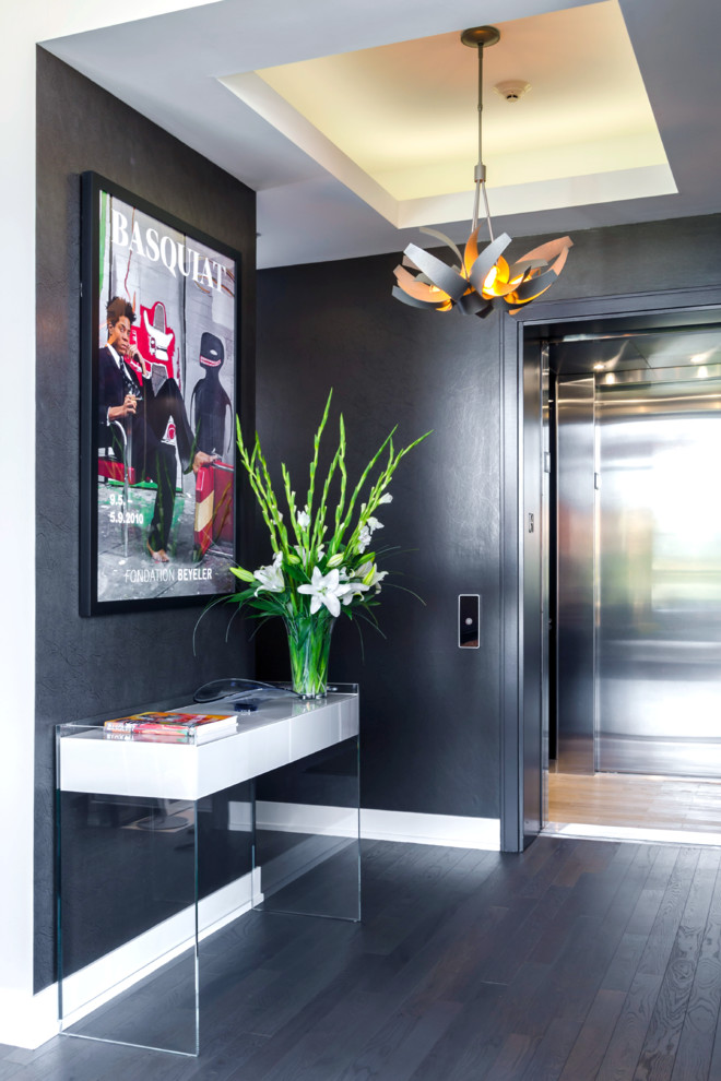 Mid-sized trendy dark wood floor front door photo in Chicago with black walls