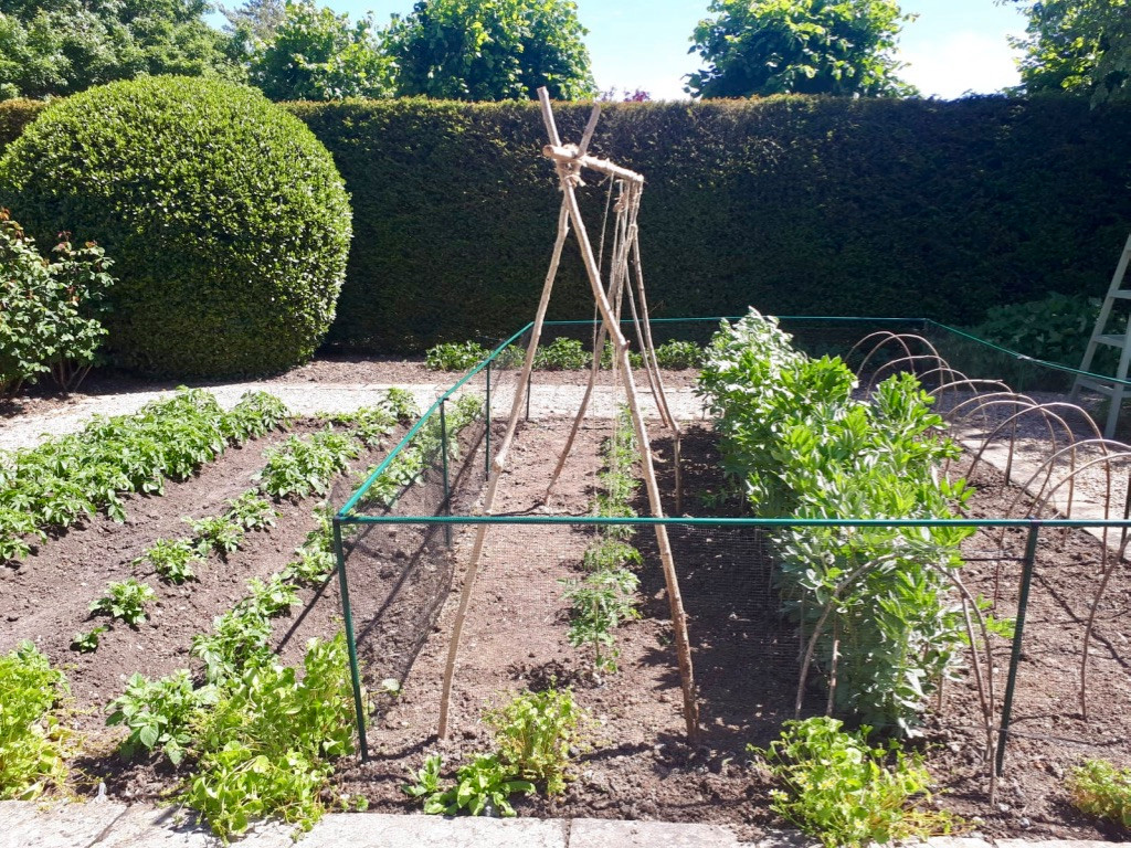 Vegetable Garden Maintenance Project