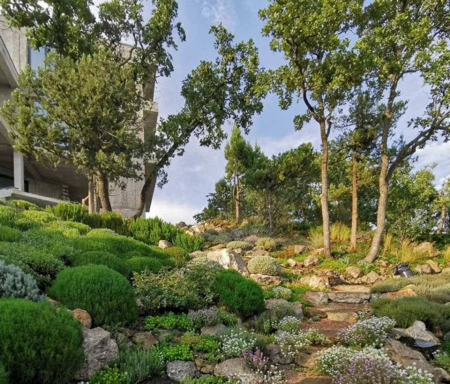 Esempio di un grande giardino xeriscape mediterraneo esposto in pieno sole in estate con sassi e rocce, un pendio, una collina o una riva e recinzione in pietra