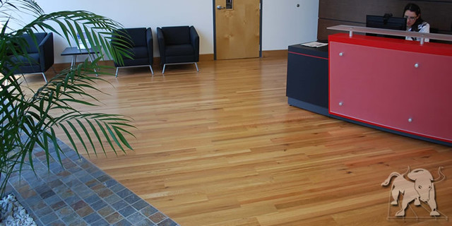 Staybull Flooring: Eco-Friendly Flooring To Adore!