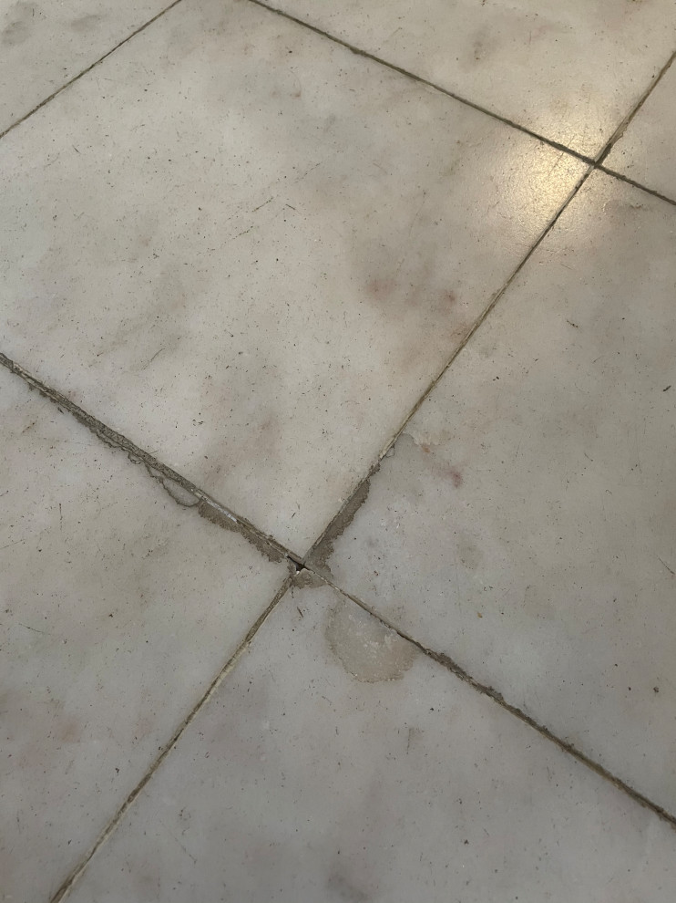 Restore old stone tile (marble?) floor