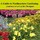 Last commented by Lee@A Guide to Northeastern Gardening