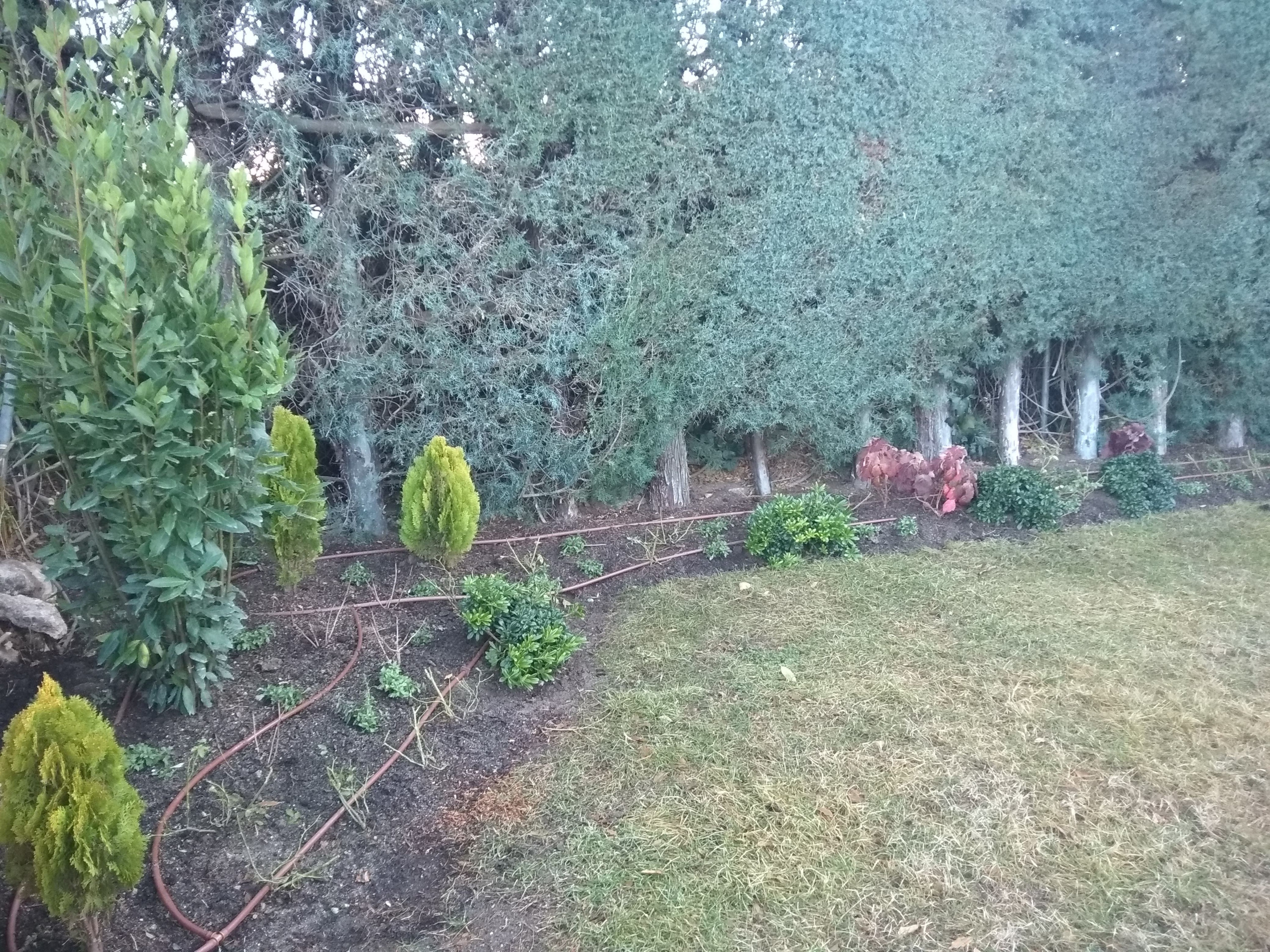 Dando color a viejos jardines