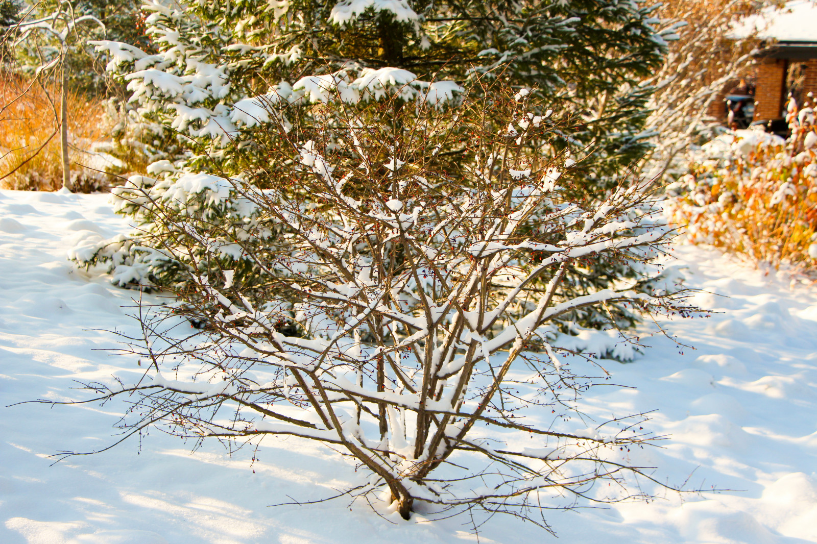 Горки-10, 2017-2020 г.г.