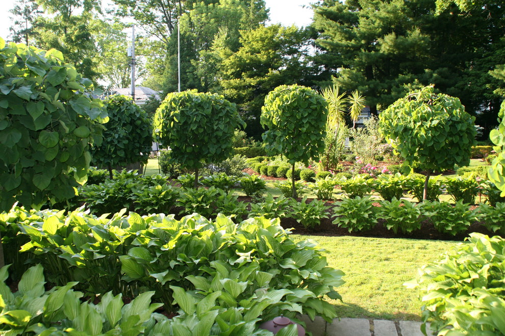 Inspiration for a traditional garden in Cleveland.