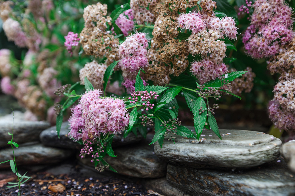Экстерьер загородного дома