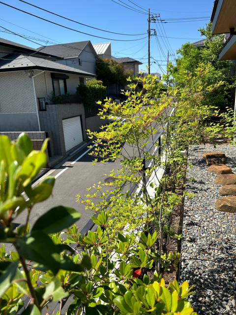 青葉区の庭 japanisch-modern-garten
