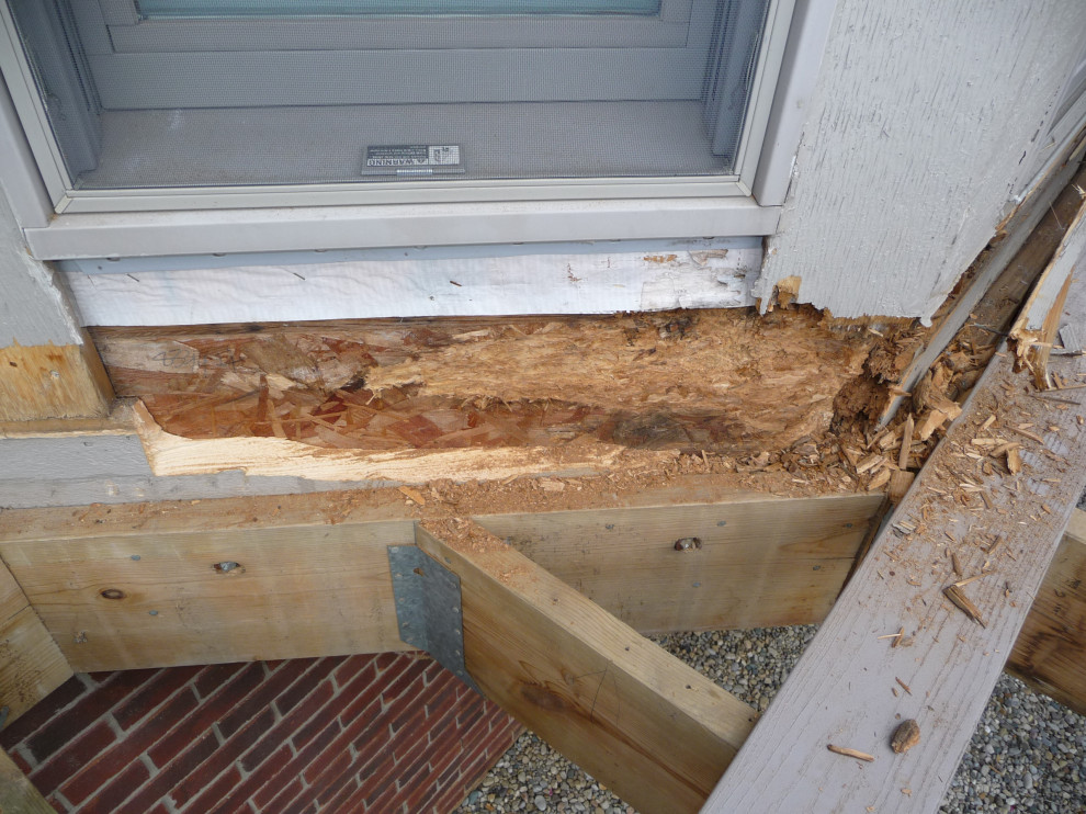 Deck Rebuild & Rotted Wood Repair