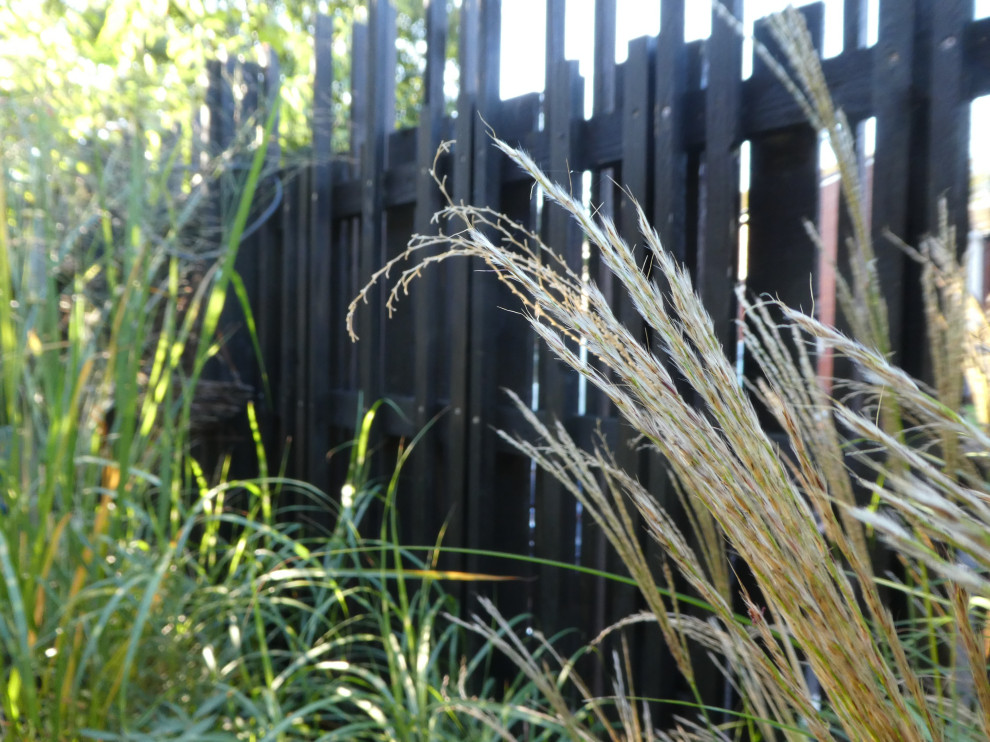 Immagine di un piccolo giardino esposto a mezz'ombra dietro casa in estate con recinzione in legno