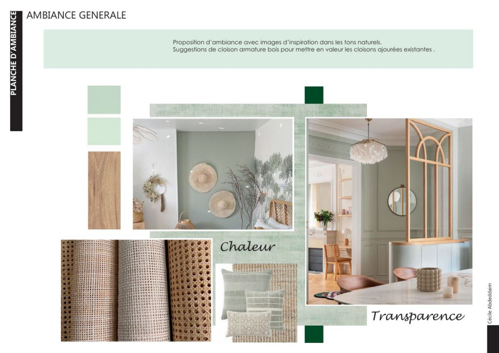 conseil déco visio d'un salon/salle à manger