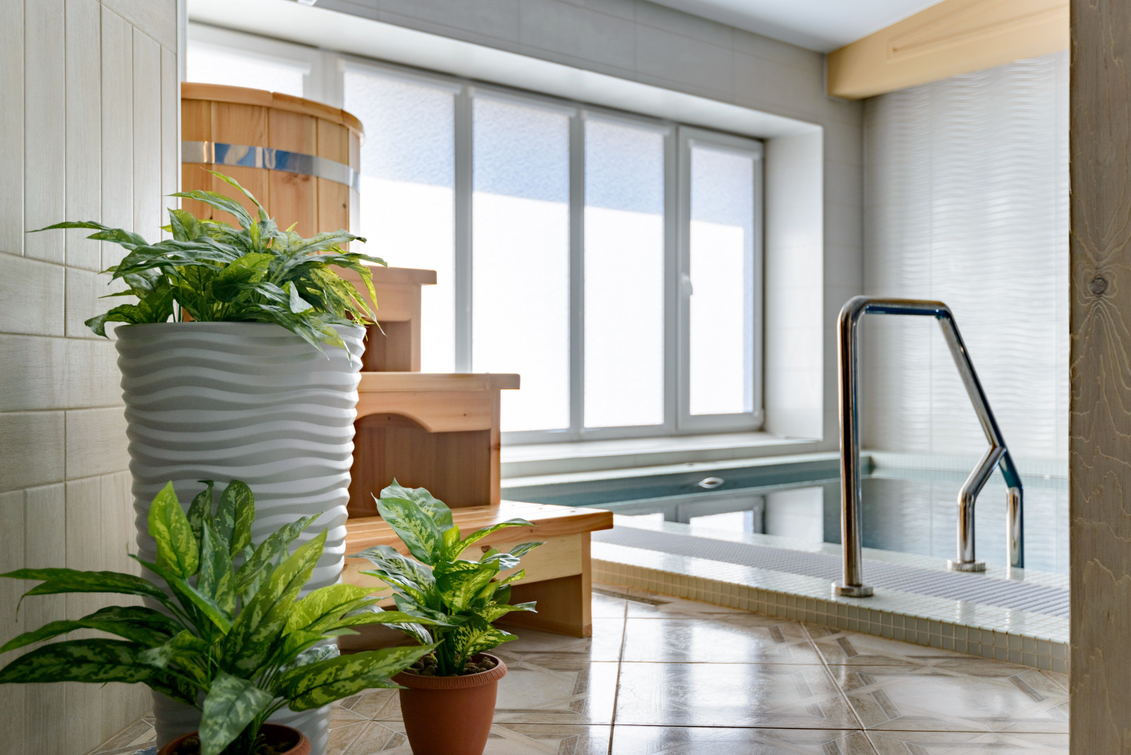 Частныйбассейн  в Эко Стиле