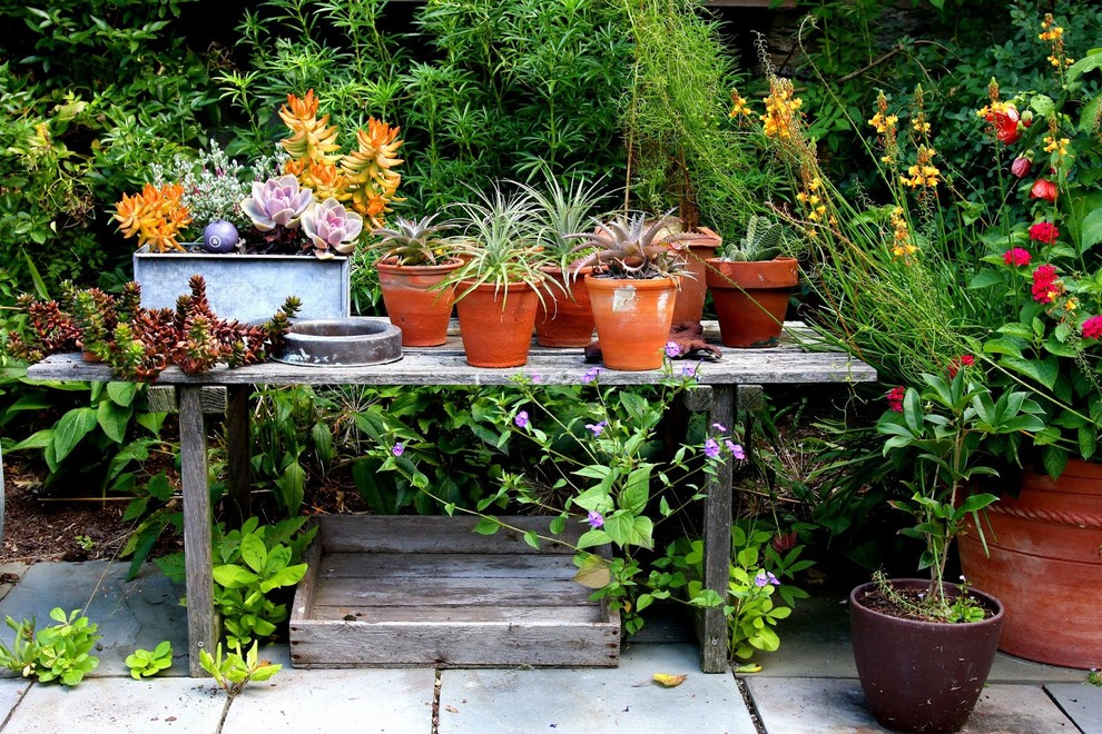 Photo of a small contemporary backyard garden in Philadelphia with a container garden.