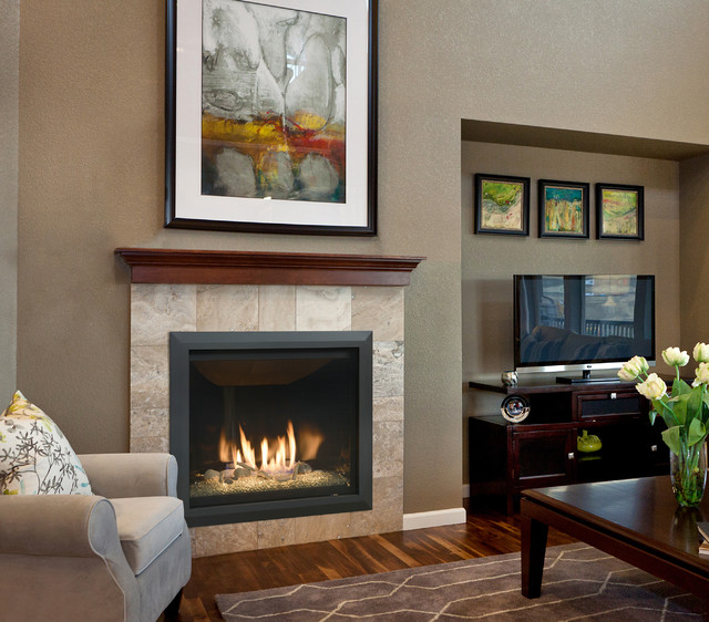 Kozy Heat Fireplaces Traditional Living Room Minneapolis