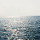 diana_sallum