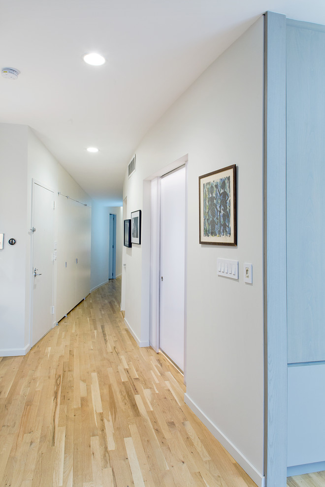 This is an example of a mid-sized contemporary hallway in New York with grey walls, light hardwood floors and brown floor.