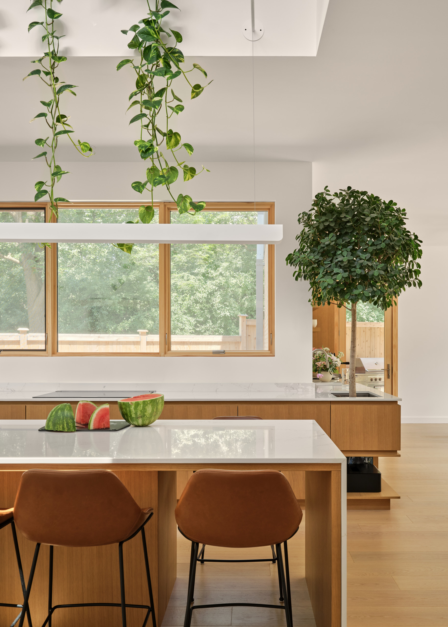 Zed House
