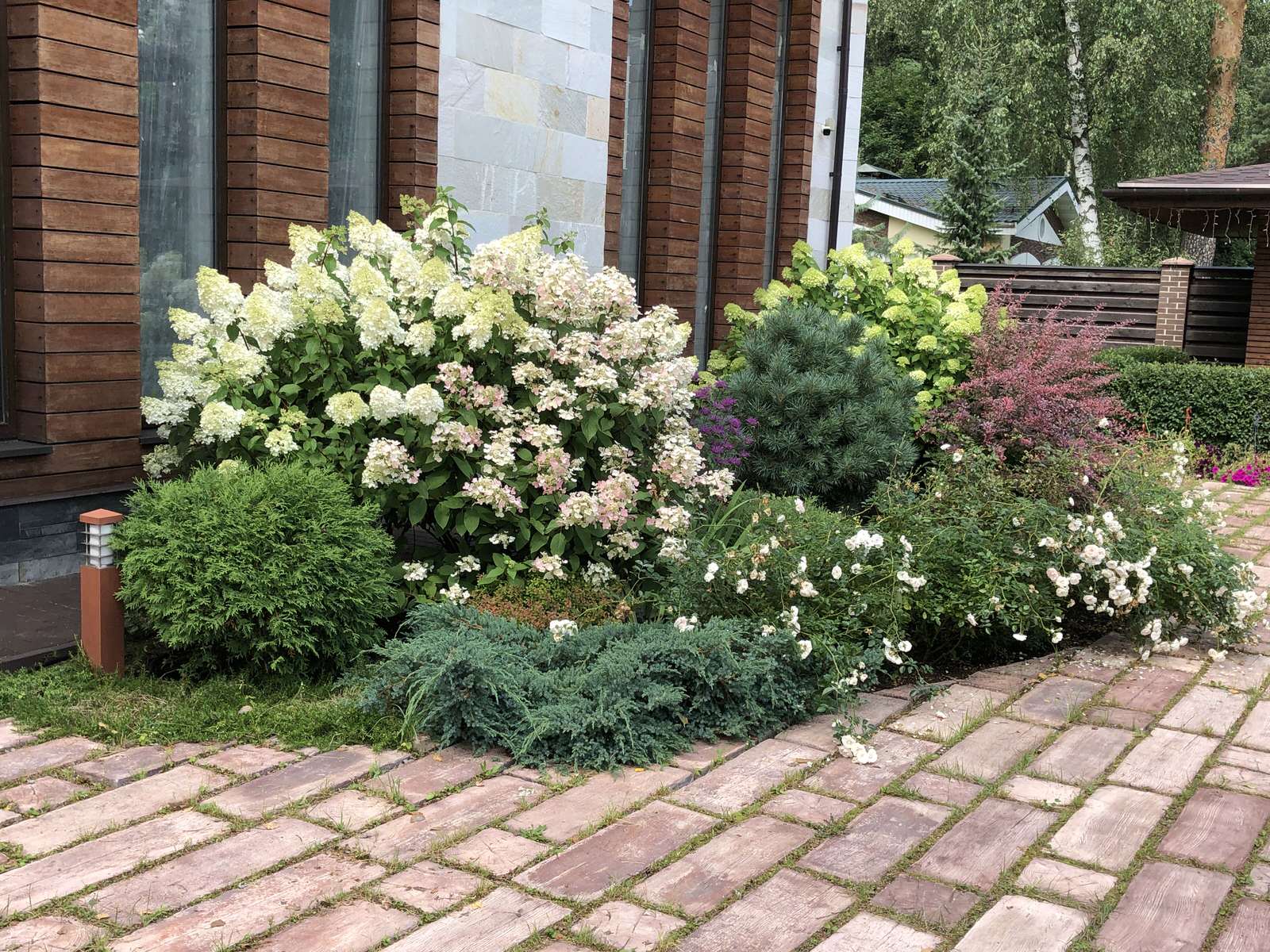 Сад в поселке Салтыковка