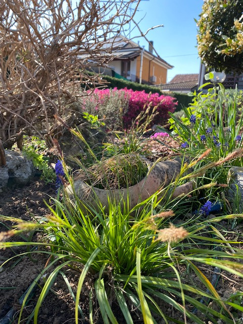 Un giardino roccioso