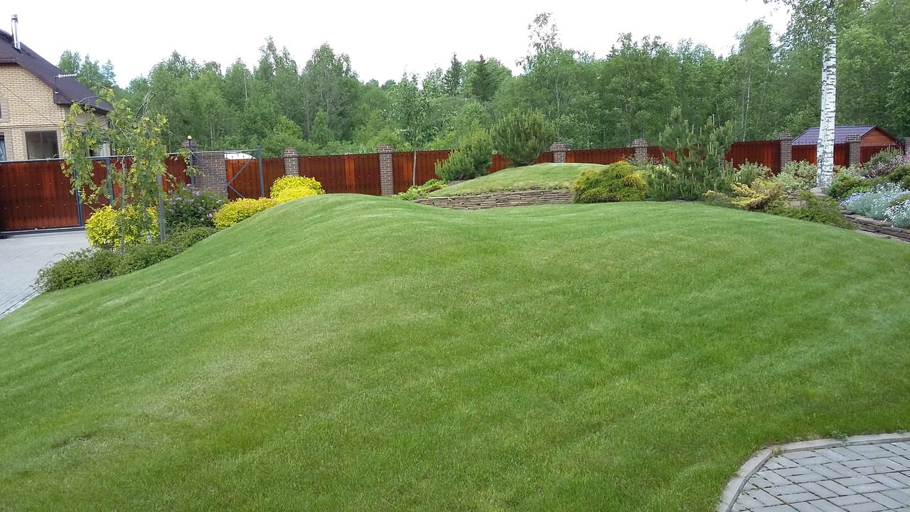 Сад  на холмах