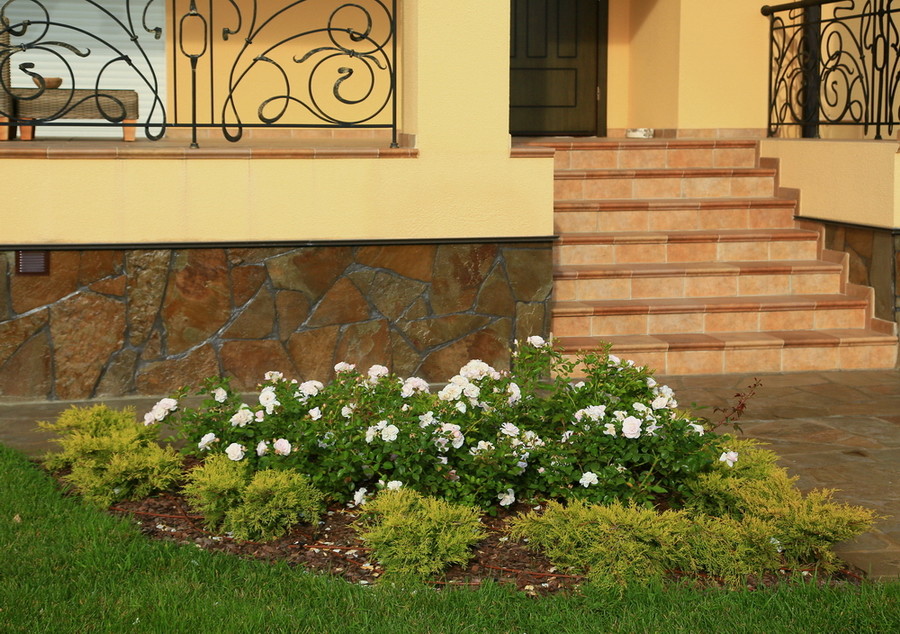 Сад в Вельяминово