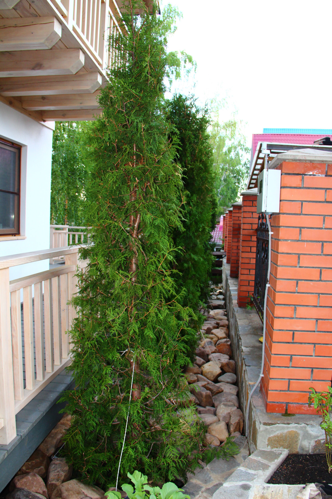 Создание уютного сада в Челябинске от Ландшафт74