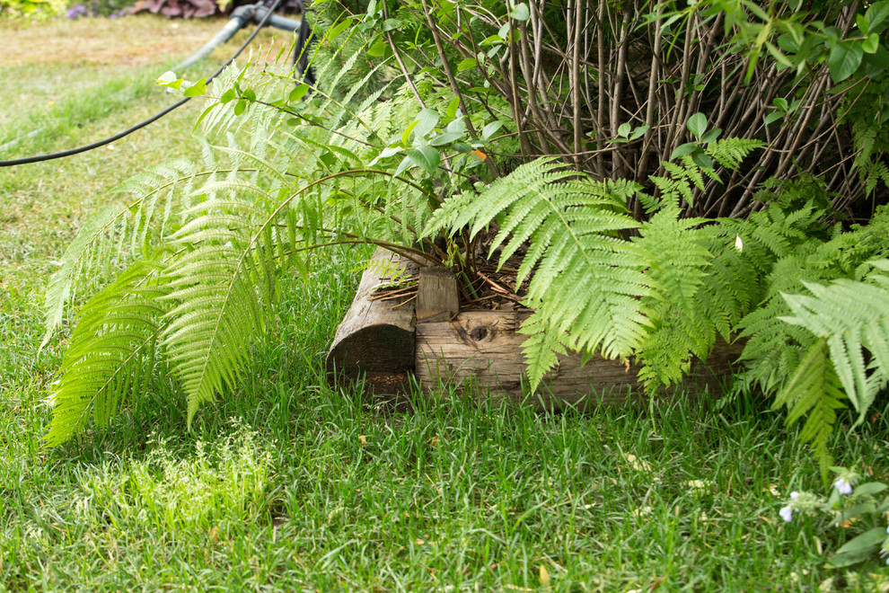 Фотосъёмка сада   Mark  Eveleigh(+Gigi Cameron) на   MoscowFlowerShow2017