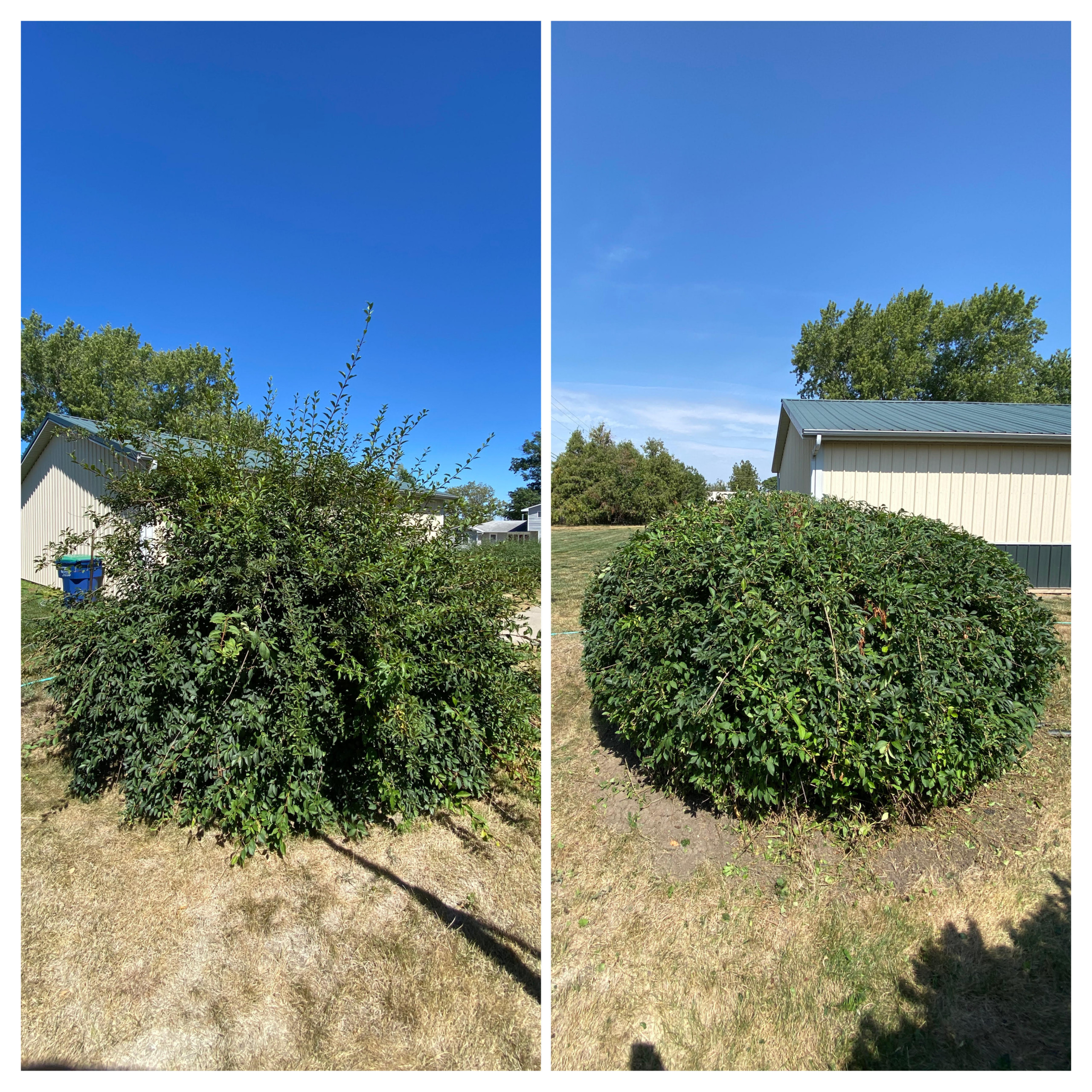 Trimming & Cleanup
