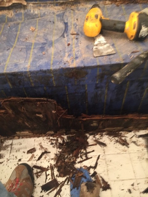 Difficult Shower Repairs transitional