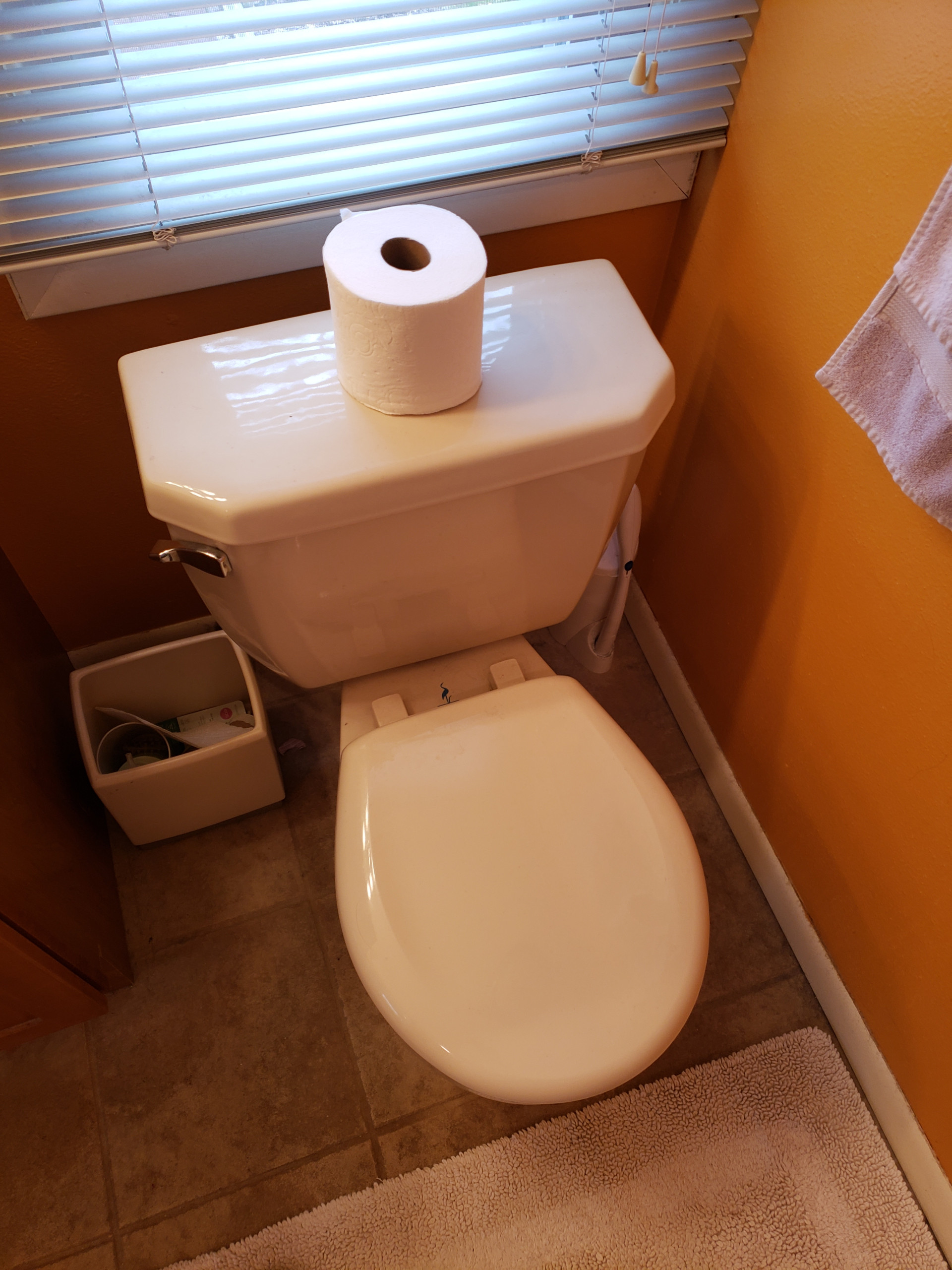 Greendale Residence - Master and Main Bath Remodel