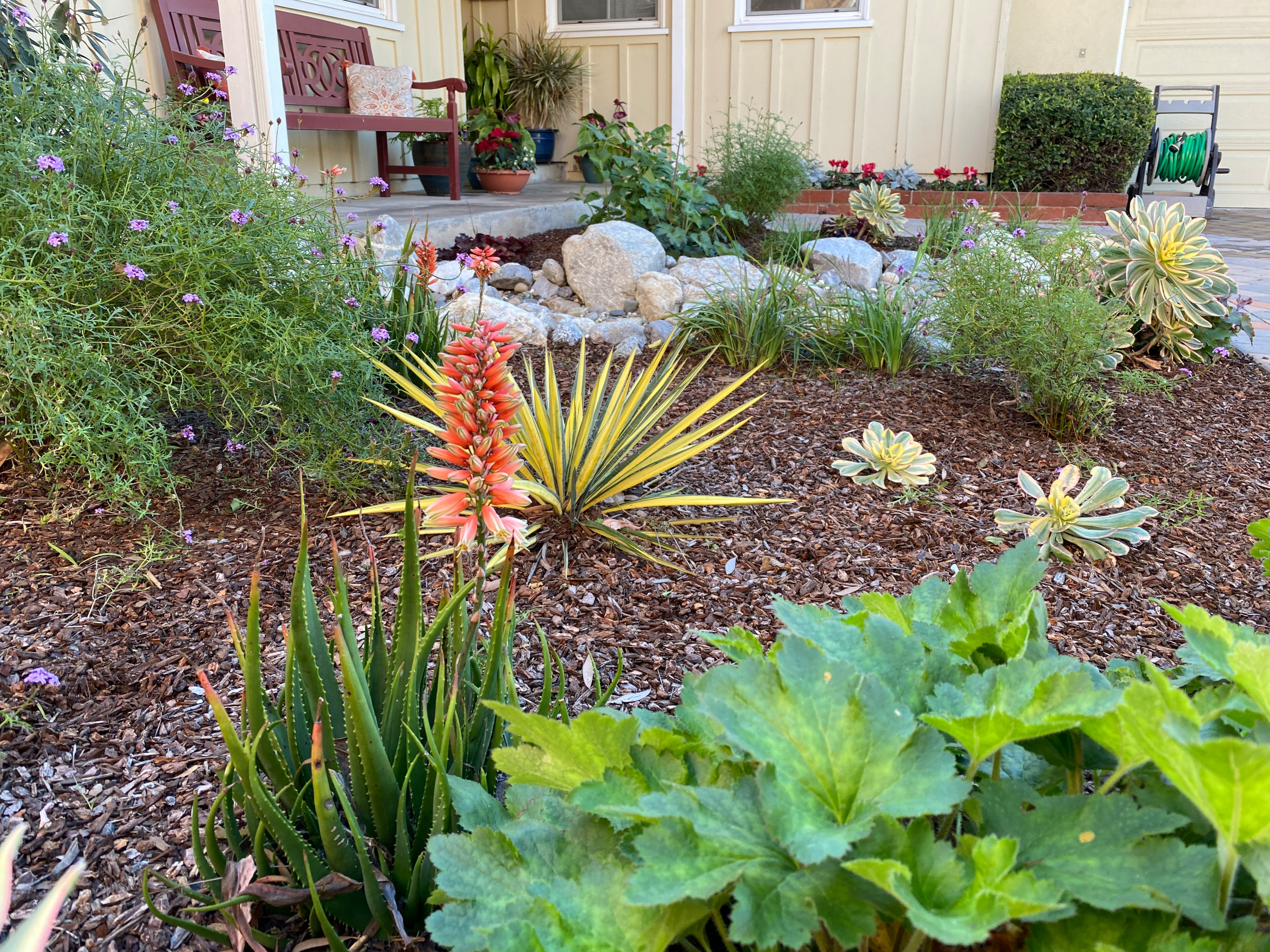 Torrance Hollywood Riviera Bee Friendly Ecological Garden
