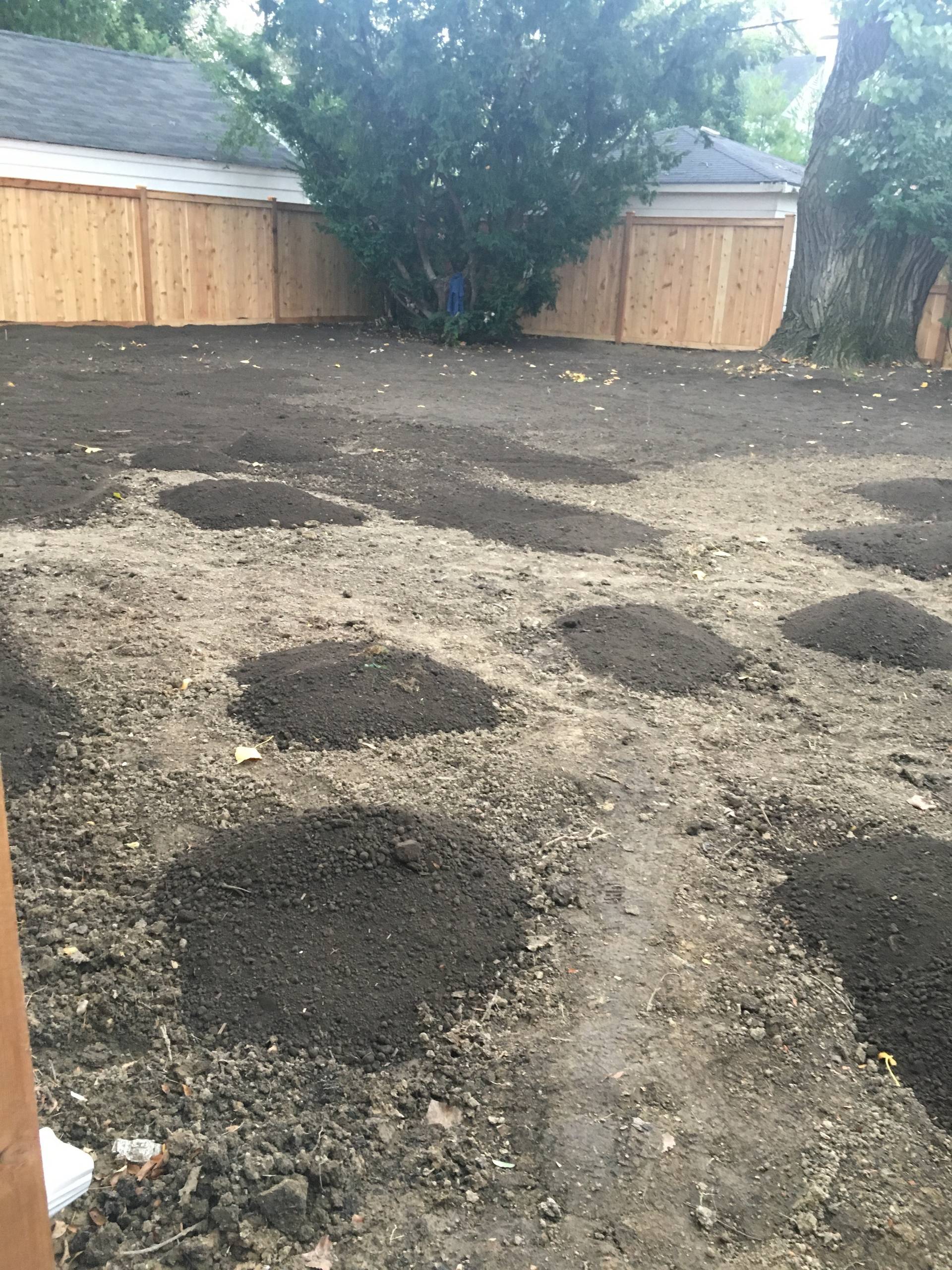 Lawn Installation