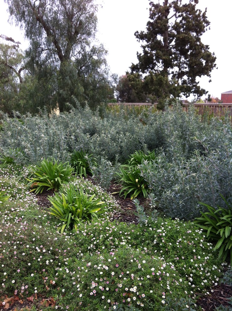 This is an example of a large traditional garden in Geelong.