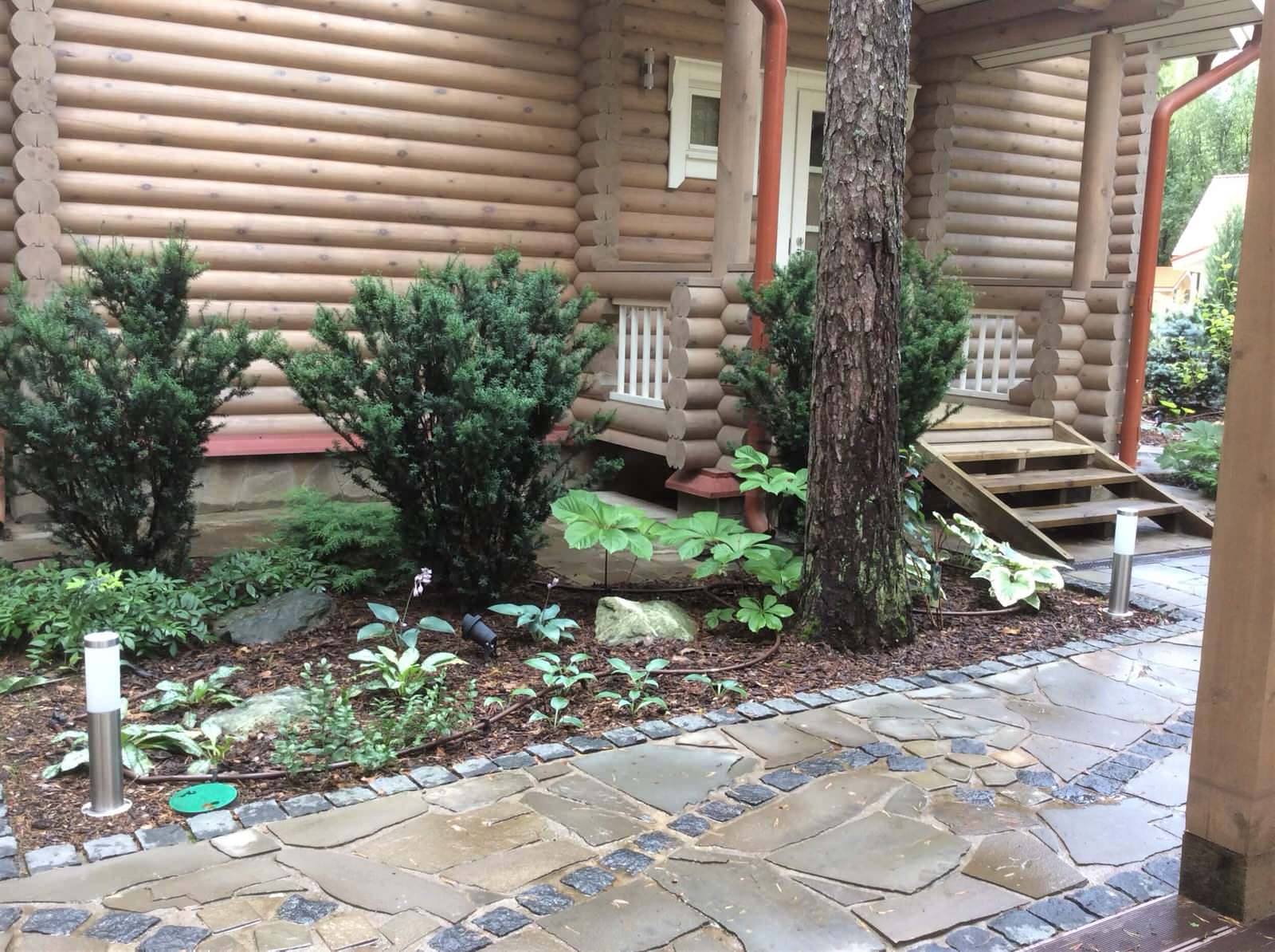 ШЕРВУДСКИЙ ЛЕС