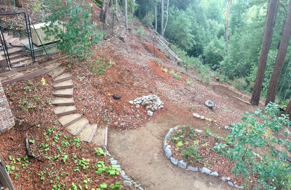 The hillside "before," and after some tree removal. No redwoods were harmed...