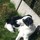 syl_vie58