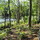 spiderlakecherryhome