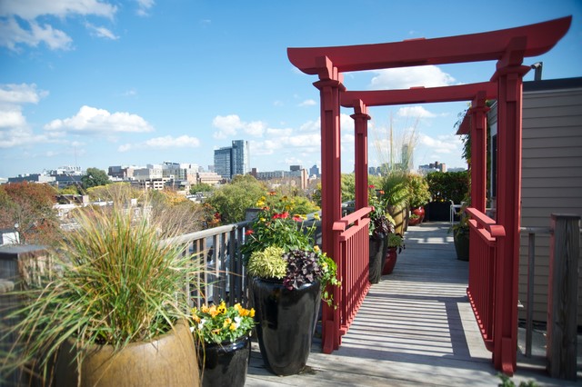 Cambridge, MA Rooftop Garden contemporary-terrace