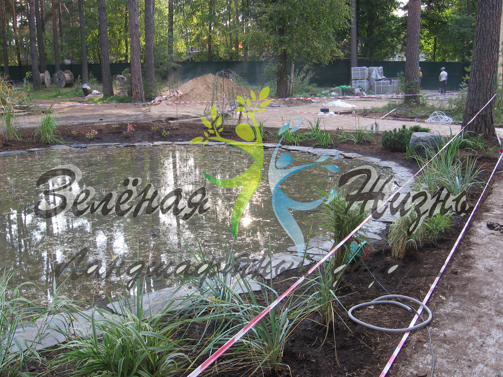 Владимирская область, д. Колокша