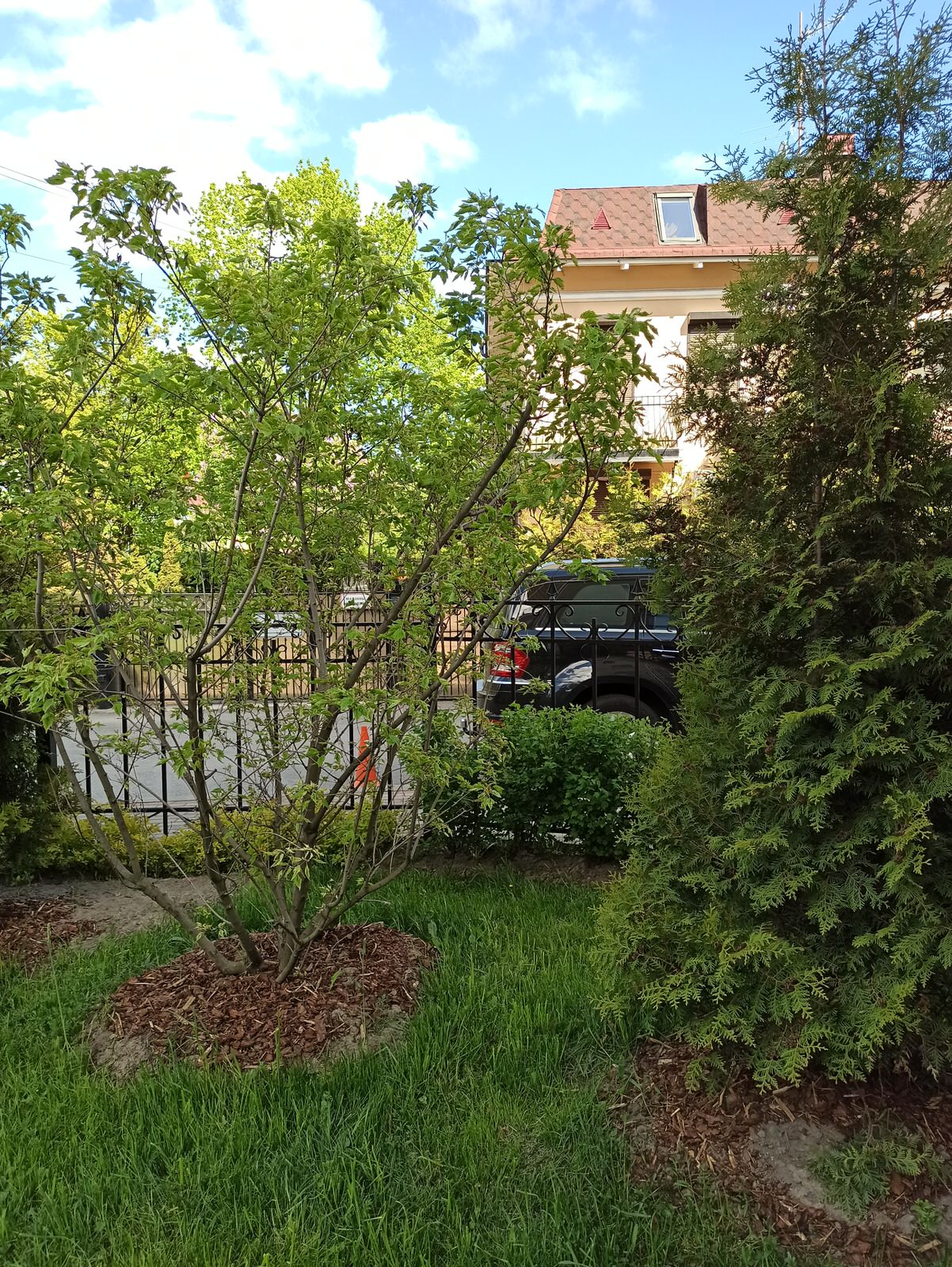 Озеленение бизнес-центра