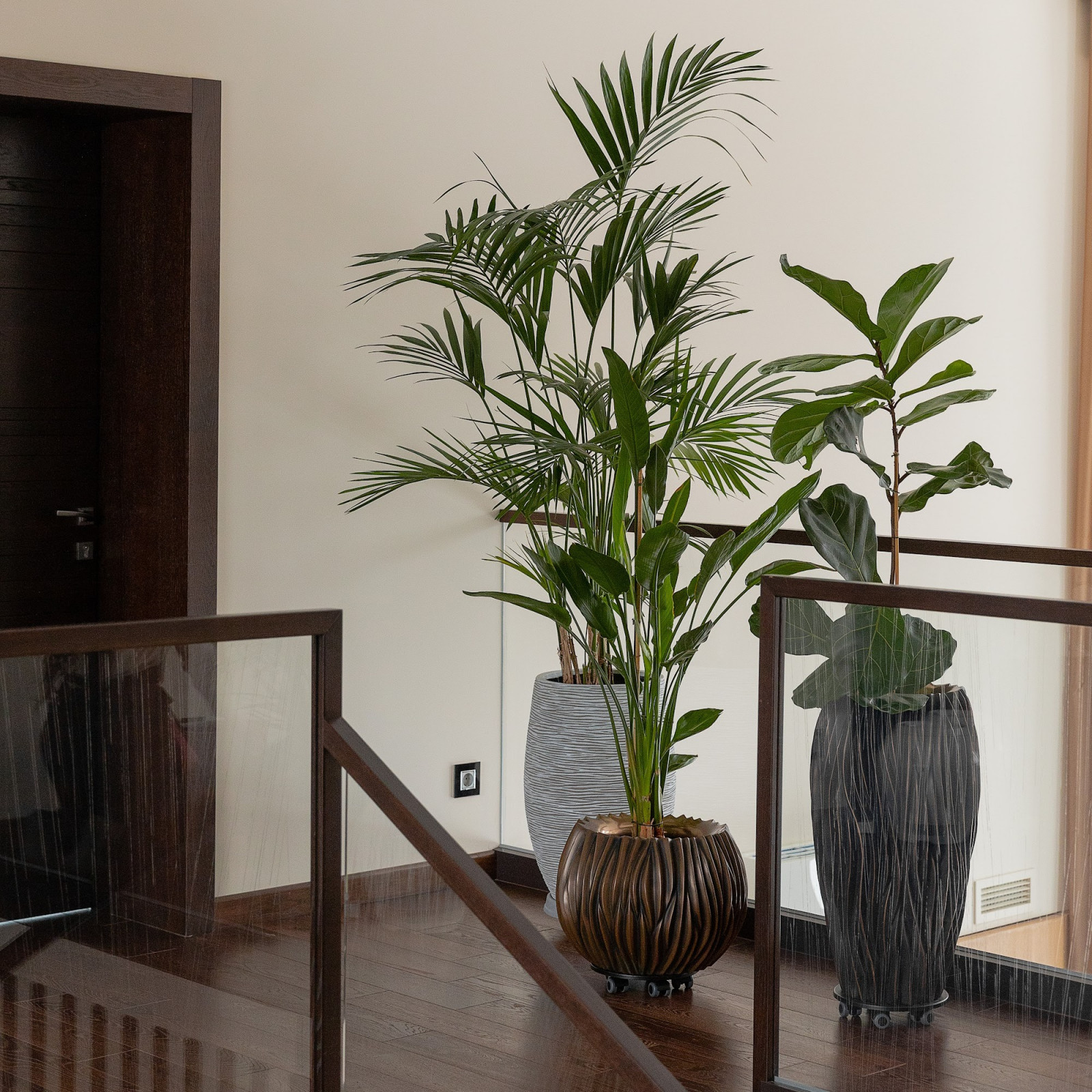 Озеленение загородного дома в Ленинградской области