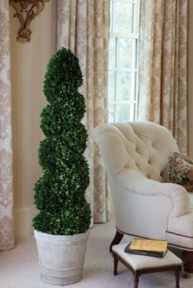 GHN_FREEZE DRIED TOPIARY SPIRAL 52_022
