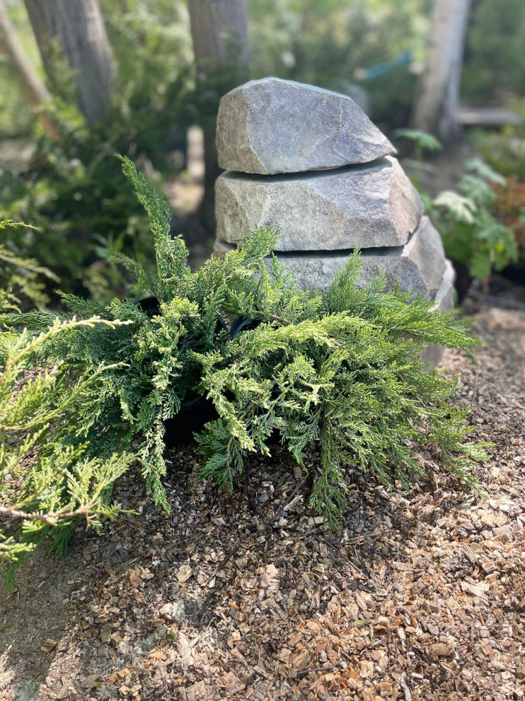 Светильники из арт-бетона